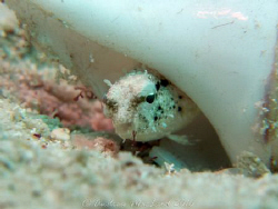 who you looking at?? Canon G10. i think it is better than... by Andrew Macleod 